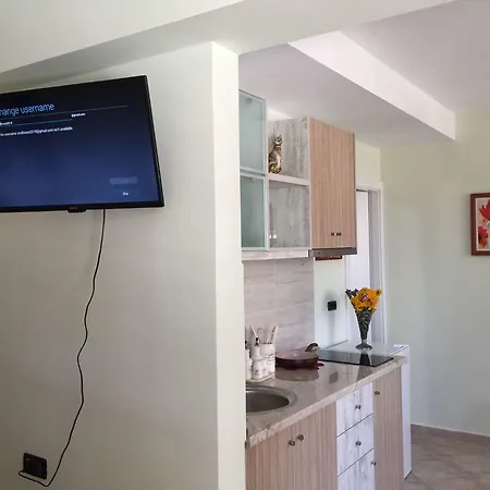 Apartment Andi *